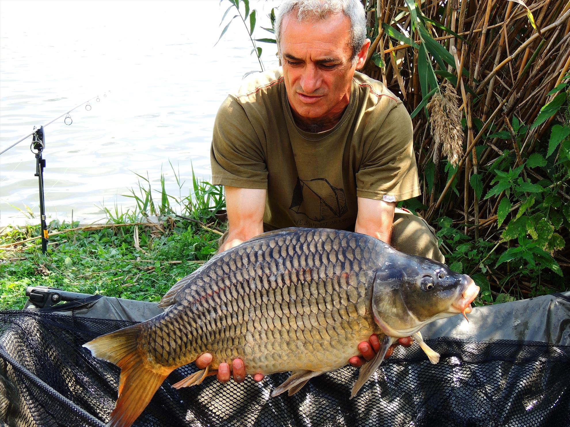 Tancabesti 12 - 14 sep. - dscn6587.JPG